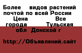 Более200 видов растений почтой по всей России › Цена ­ 100-500 - Все города  »    . Тульская обл.,Донской г.